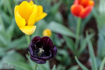 West-Michigan-Beer-Run-2021-97