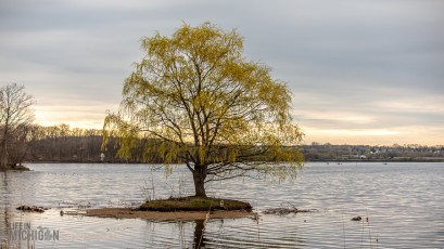 Kensington-Metropark-Wildlife-1