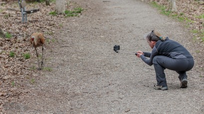 Kensington-Metropark-Wildlife-27