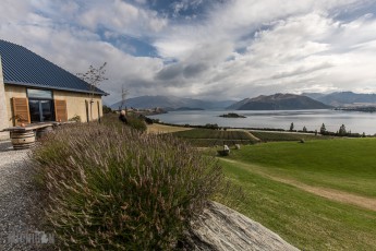 Wine-Beer-Food-New-Zealand-4