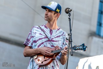 Wire In The Wood - Top Of the Park-8