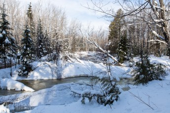 Yellow Dog River Snowshoe - U.P. Winter - 2014 -17