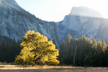 Yosemite National Park - Half Dome Sunrise - 2014