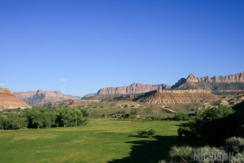 Lush fields along the Virgin river