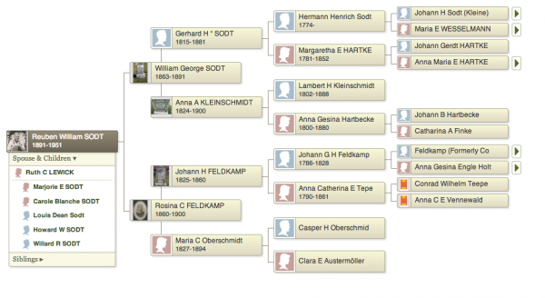 The Emigration Story of William George Sodt - Life In Michigan