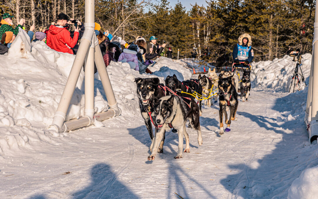Running With The Pack: The UP 200 in Marquette