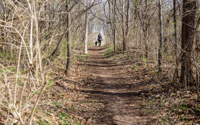 Ann Arbor Trail Series – Leslie Park Trail