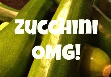 Zucchini Recipes for Meatloaf and Hash